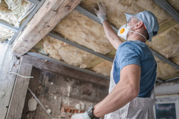 Best Insulation Installation Services in Clearview, WA