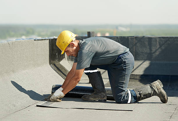 Best Insulation Maintenance and Repair in Clearview, WA