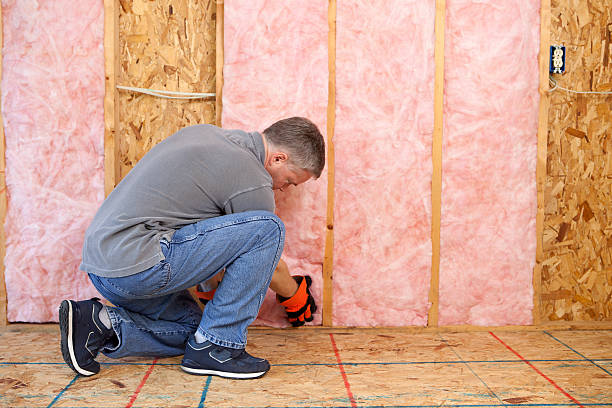 Best Insulation Installation Services in Clearview, WA